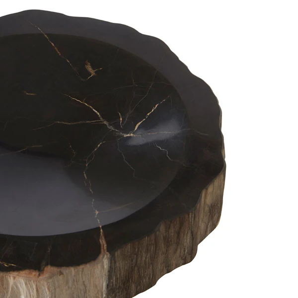 Raven Petrified Wood Bowl - Image 4