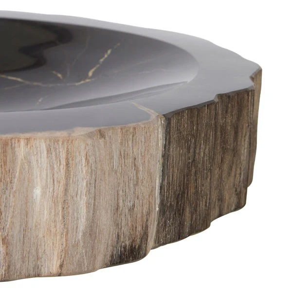 Raven Petrified Wood Bowl - Image 5